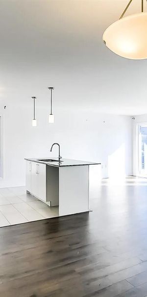 276 Boulevard D'amsterdam (Hull) Magnifique 4 1/2 Dans Cartier Tranquille - Photo 1