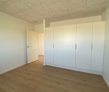 VELKOMMEN TIL SKOVFRYD – EN FRYD FOR ØJET – VIBORGS NYE ATTRAKTIVE ... - Photo 3