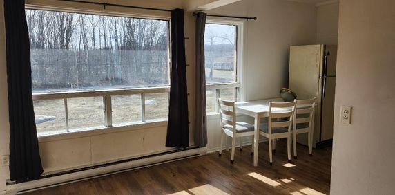 👉 Cession de bail 2 1/2 à Nicolet – 665$ tout inclus, disponible immédiatement - Photo 2