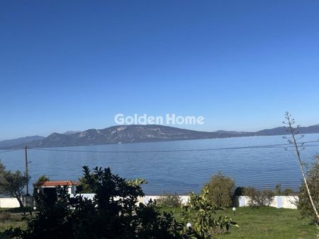 Μονοκατοικία για ενοικίαση Αρκίτσα (Δαφνούσες) - Φωτογραφία 3