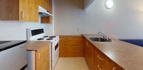 GHETTO MCGILL- STUDIO RENOVÉ & MEUBLÉ- EMPLACEMENT EXCEPTIONNEL - Photo 2