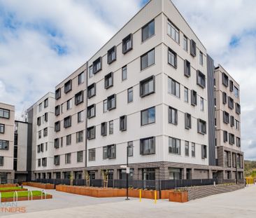 G27/3 Carden Street, Denman Prospect ACT 2611 - Apartment For Rent ... - Photo 3