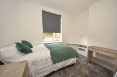 1 bed Room for Rent - Photo 5