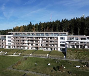 *Über der Nebelgrenze* 1,5- Zimmer Wohnung mit Terrasse und Garten - Photo 5