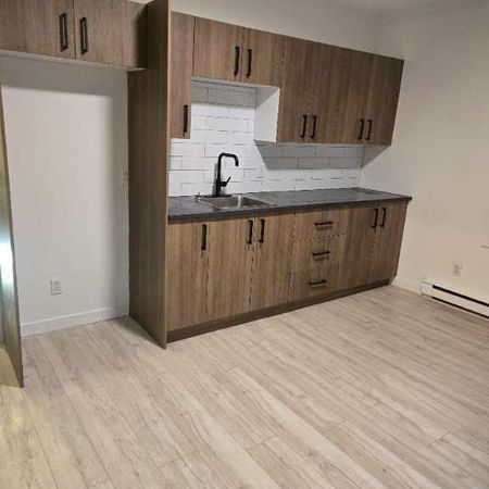 4 Et demi bas duplex - Photo 4