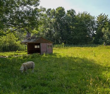 Boekweitkamp 169, Kampen, 2592XT, Den Haag - Photo 6