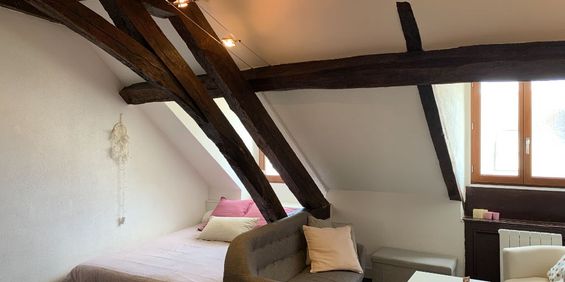 Appartement T1 à louer - 21 m² - Photo 3