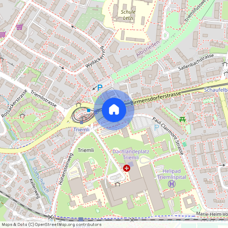 8055, Zürich, Birmensdorferstrasse, 485