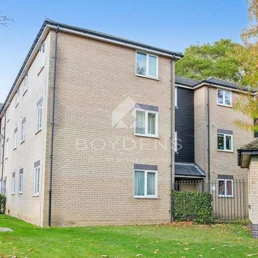 Ranger Walk Colchester, CO2 - Photo 2