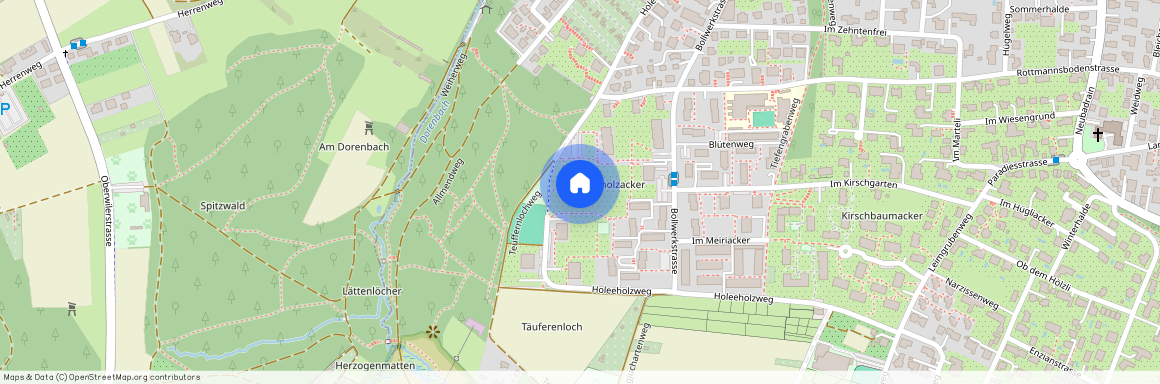 4102, Binningen, Holeeholzweg, 67