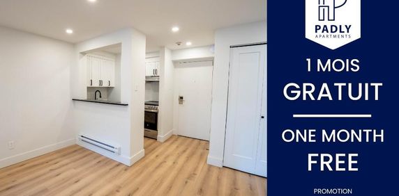 1 MOIS GRATUIT – Studio et 1 Ch. à 2 pas des Universités à louer Montreal - appartement / logement - Photo 2