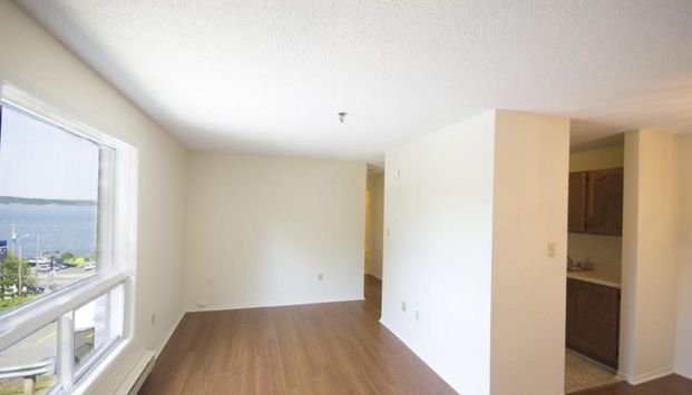 246 Bedford Highway - Photo 1