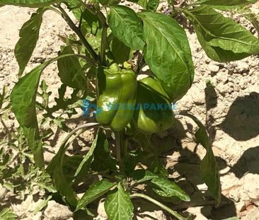 Μεζονέτα για ενοικίαση Ηράκλειο Κρήτης - Photo 2