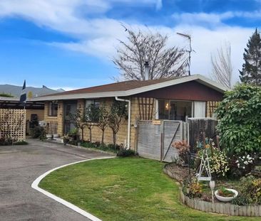 Sunny 3 Bedroom Home with Spacious Yard - Photo 6