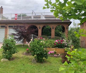 For Lease - 115 Briggs Avenue Unit# Bedroom, Richmond Hill, Ontario - Photo 5