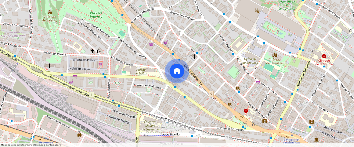 Chemin des Clochetons **, 1004, Lausanne