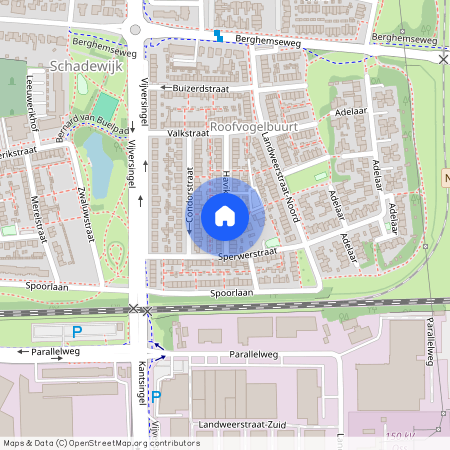 Roofvogelbuurt, 5348 XZ, Havikstraat, Oss