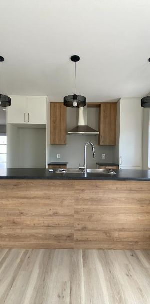 Logement 4 1/2 neuf à louer - 1 mois gratuit - Photo 1