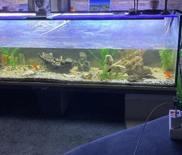 Möblierte Wohnung in Mönchengladbach Rheydt - Foto 1