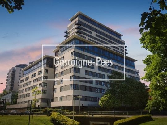 Skyline Plaza, RG21 - Photo 1