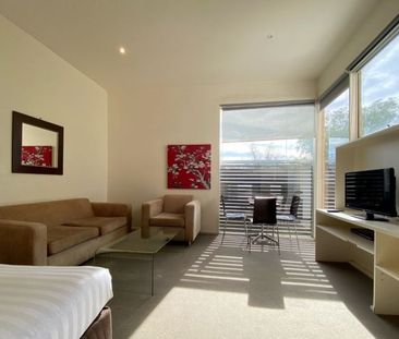 Fully Furnished Studio Apartment - Photo 2