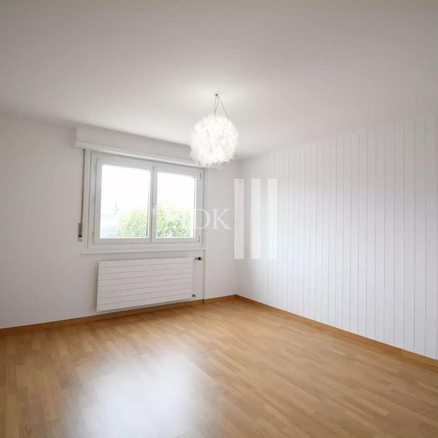 3.5 Zimmer, EG - Photo 1