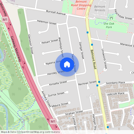 1 Wambaya Street, Belmont QLD 4153