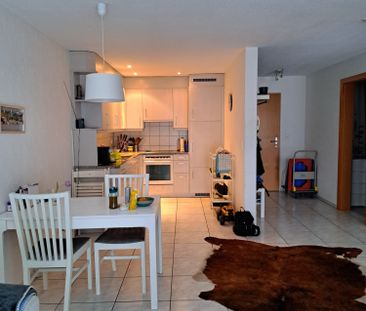 2.5 Zimmer - Photo 3