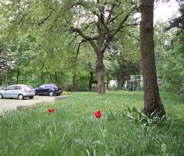 Helle Wohnung in ruhiger Kaßberglage mit Südbalkon und PKW-Stellplatz - Photo 5