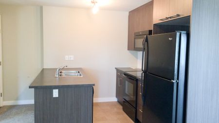 Bright & Spacious 2 Bedroom Apartment In Chestermere’s Lake Community. - Photo 4