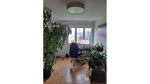 4½ Zimmer-Wohnung in Horgen (ZH), möbliert, auf Zeit - Foto 1