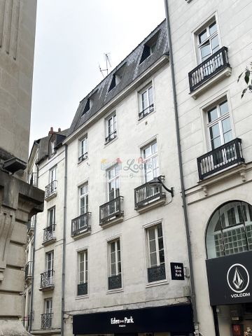 Location Appartement 1 pièce 19m² NANTES 44000 - Photo 4