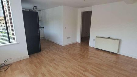 Swan Lane, Harleston, IP20 - Photo 2