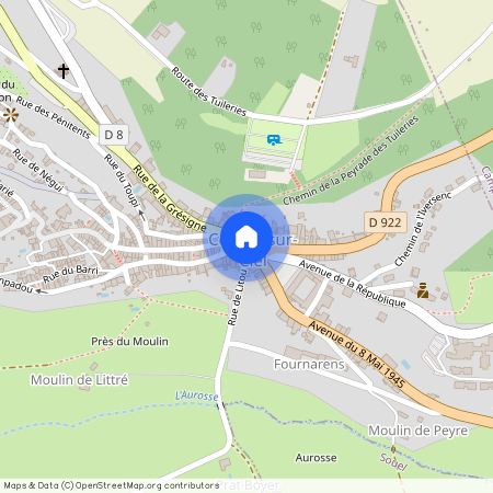 OCCITANIE, TARN (81), 81170, Cordes Sur Ciel