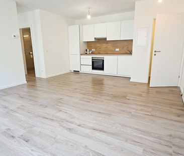 JEDLESEE, ANTON-BOSCH-GASSE, 50 m2 Neubau, 2 Zimmer, Komplettküche,... - Foto 5