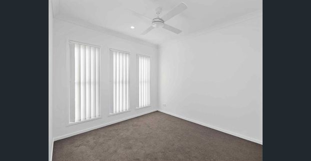 Modern Family Living in the Heart of Collingwood Park - Photo 1