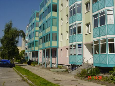 Herrlicher Ausblick in Richtung Wald - ruhige Wohnung! - Foto 5