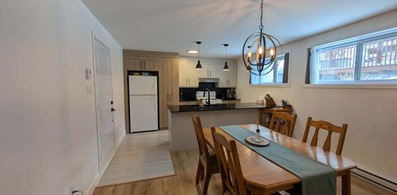 Grand bachelor 4 1/2 à louer Saint-Eustache - Photo 2