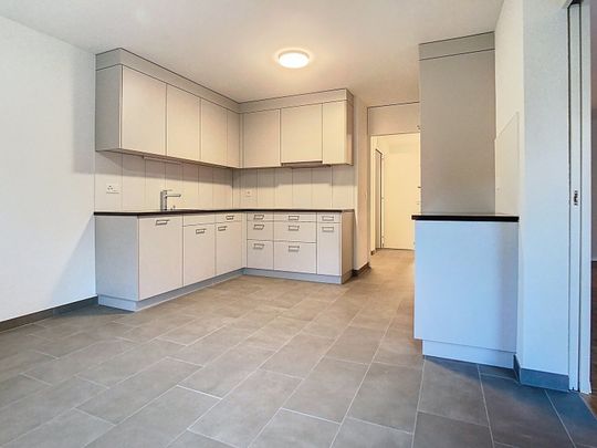 SUPERBE APPARTEMENT ENTIEREMENT RENOVE - Foto 1