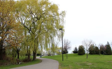 For Lease - 1536 Applewood Road, Mississauga, Ontario - Photo 3