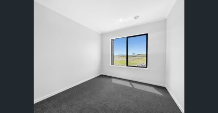 Brand New 4-Bedroom Home in the Heart of Donnybrook - Photo 3