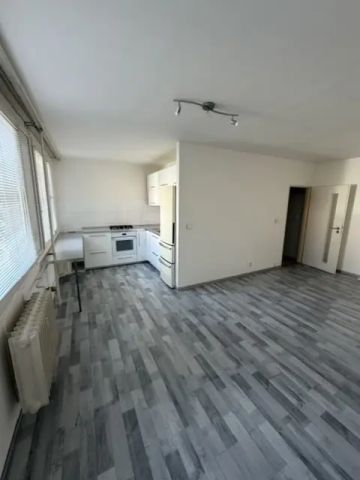 Pronájem bytu 1+kk, 38 m - Fotografie 3