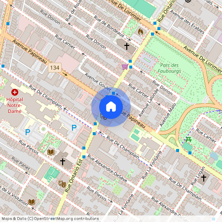 1696 Rue Ontario E., app.202, H2L 1S7, H2L 1S7, Montréal
