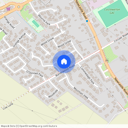 21a Burrenwood Road, Castlewellan, BT31 9DR