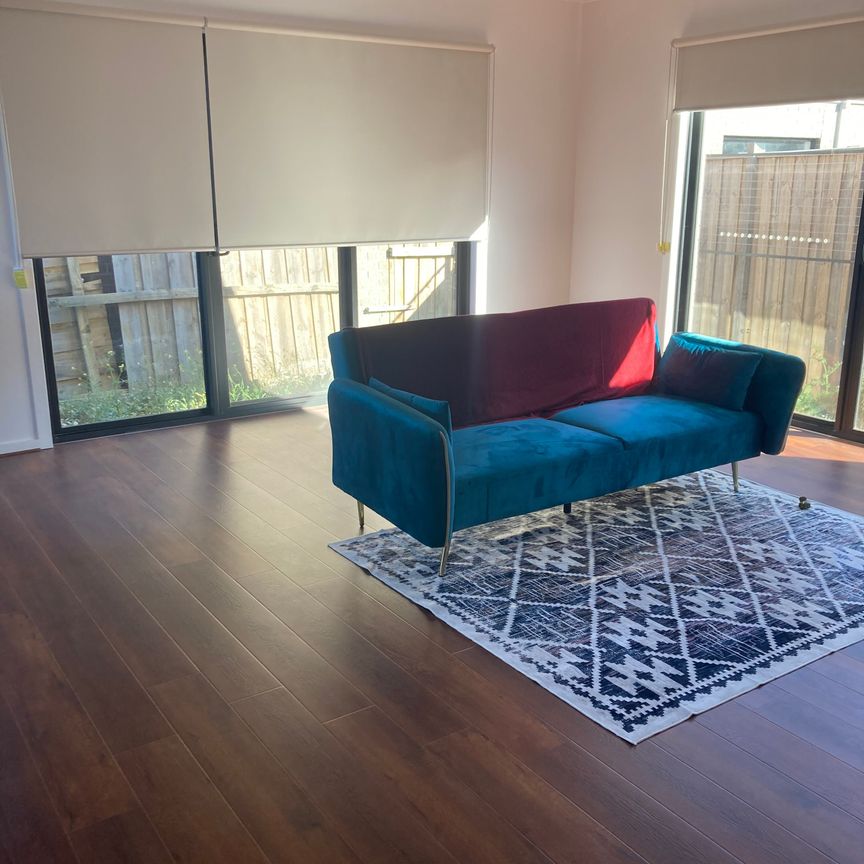 Donnybrook - Photo 1