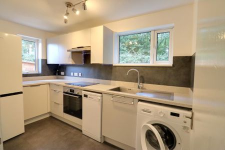 1 bedroom ground floor maisonette to rent - Photo 2