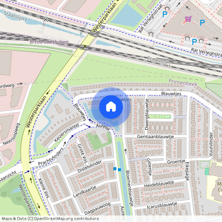 Blauwtjes, 26, Breda