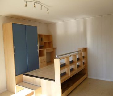 Location Appartement 1 pièce 25m² ONNION 74490 - Photo 3
