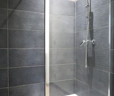 Location Appartement 3 pièces 43m² ST CHAMOND 42400 - Photo 3