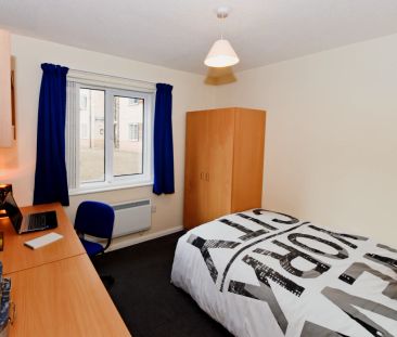 Bronze Plus Room - Photo 6